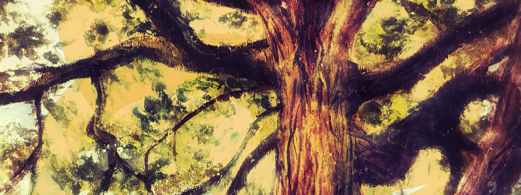 Header Image 1