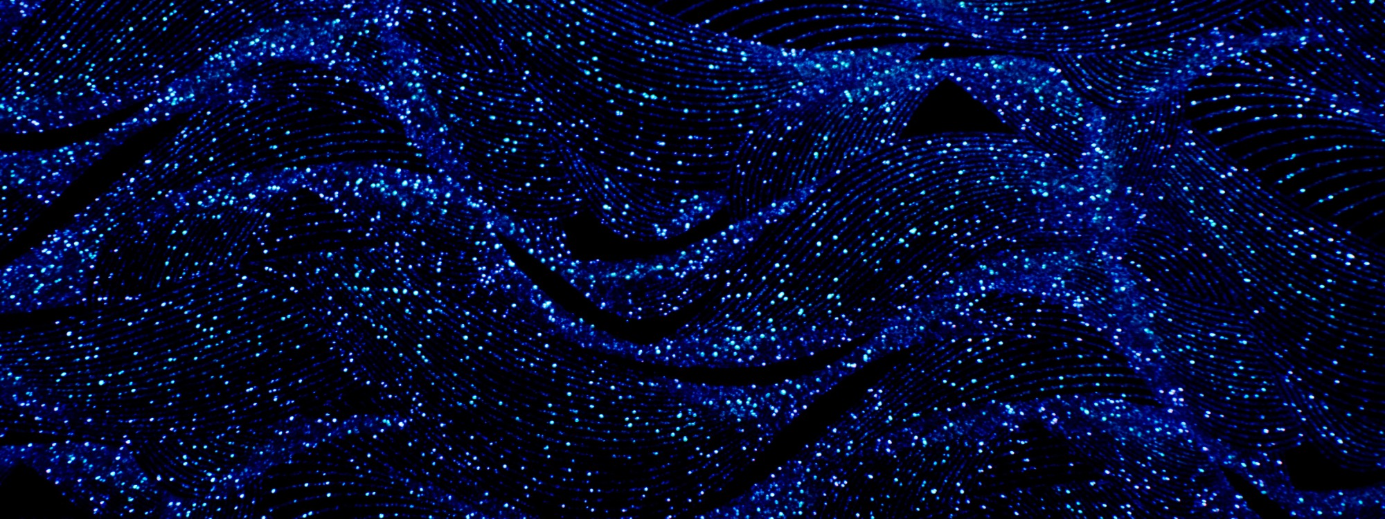 Header Image 1
